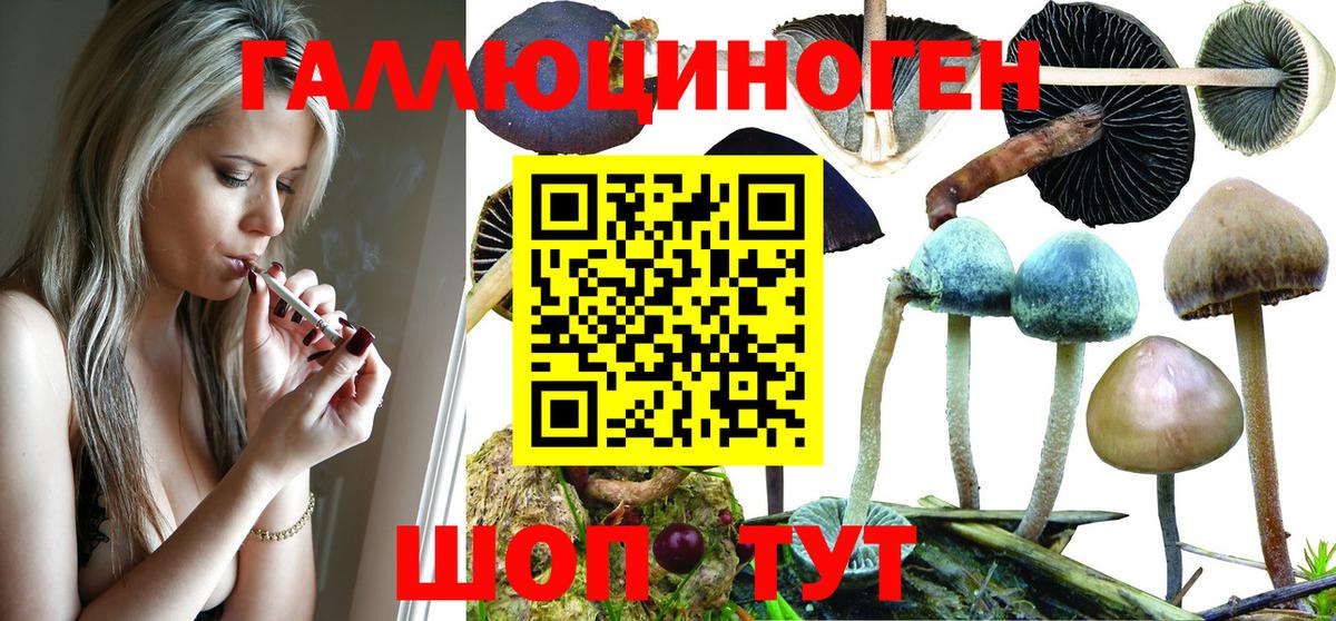 Псилоцибиновые грибы ЛСД Моздок