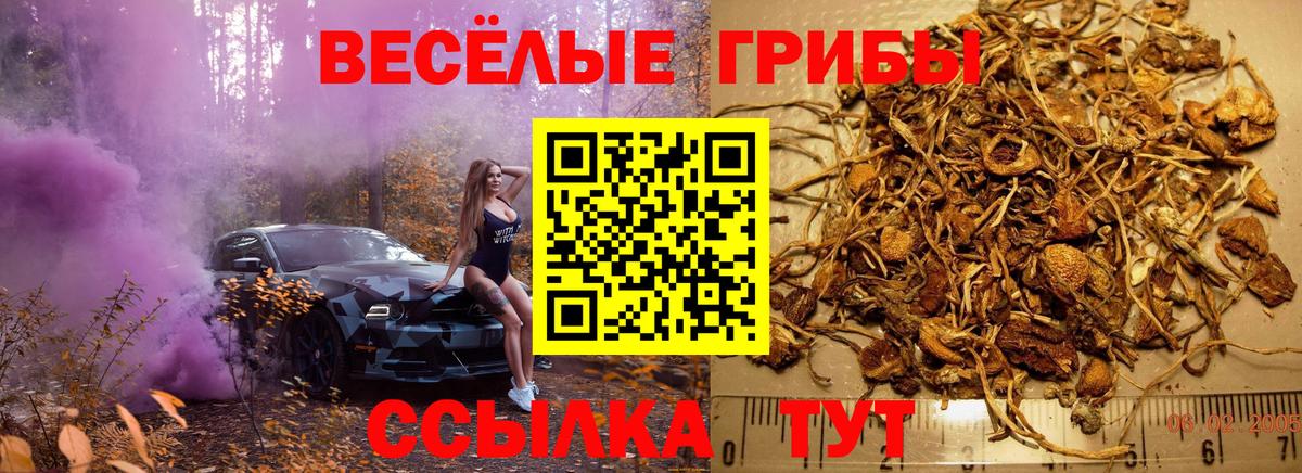 Псилоцибиновые грибы Magic Shrooms  Вход с VPN  Моздок  Галлюциногенные грибы мухоморы 